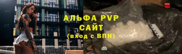 ГАЛЛЮЦИНОГЕННЫЕ ГРИБЫ Богданович