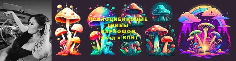 Галлюциногенные грибы Psilocybine cubensis  Горняк 